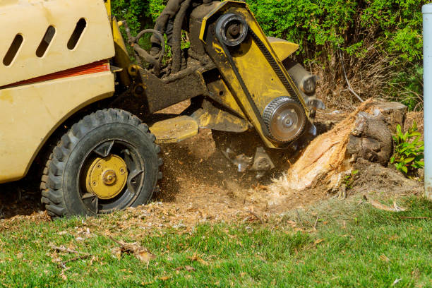 Best Stump Grinding Near Me  in Hudson Oaks, TX